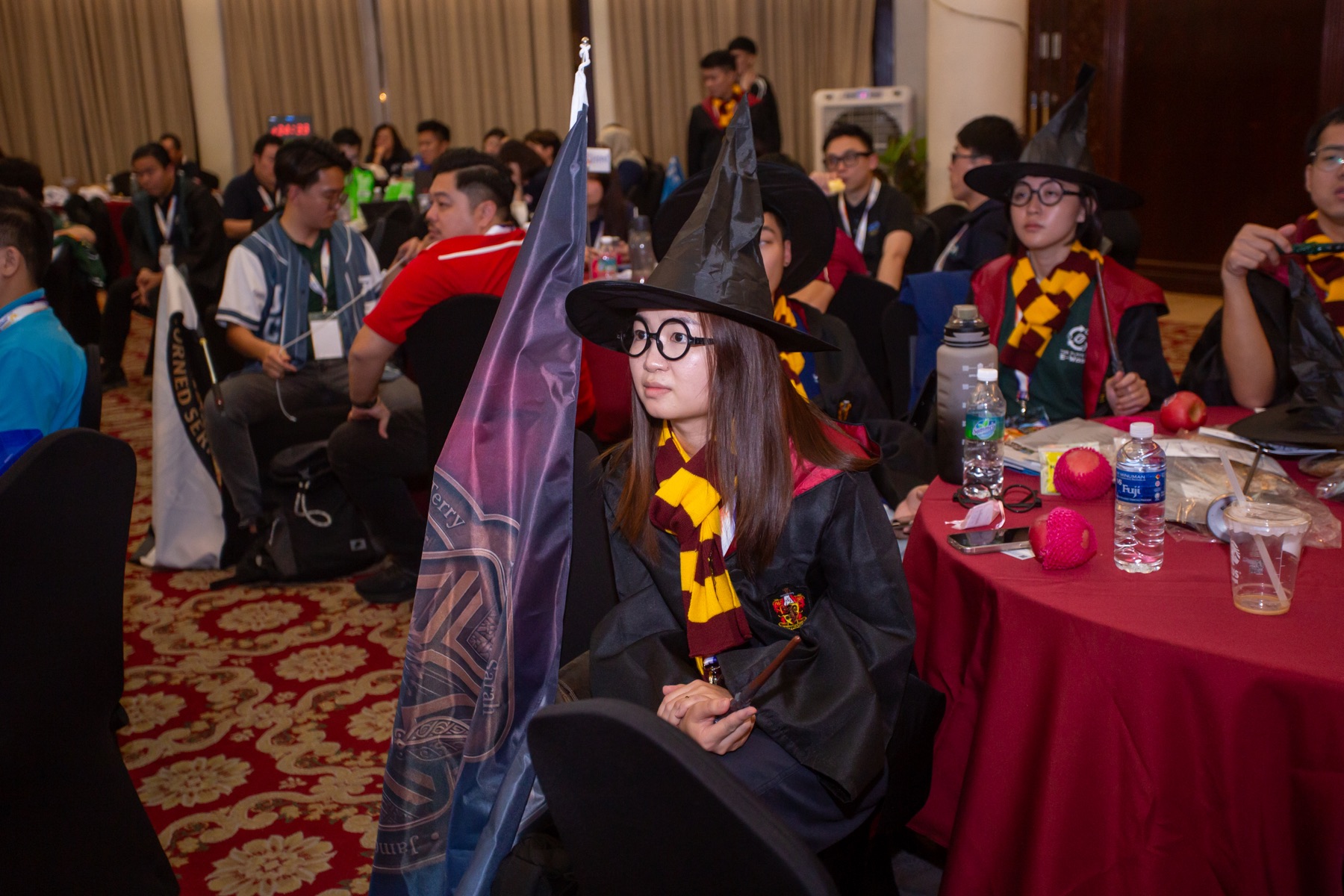 An Academian in magical house attire